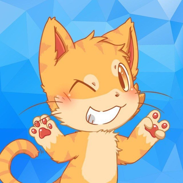 猫喵